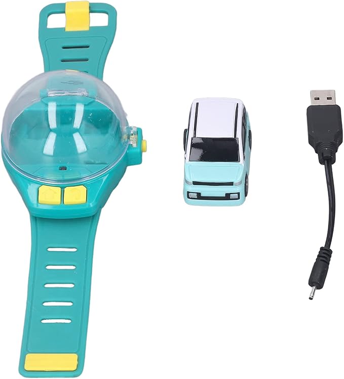 Wrist watch